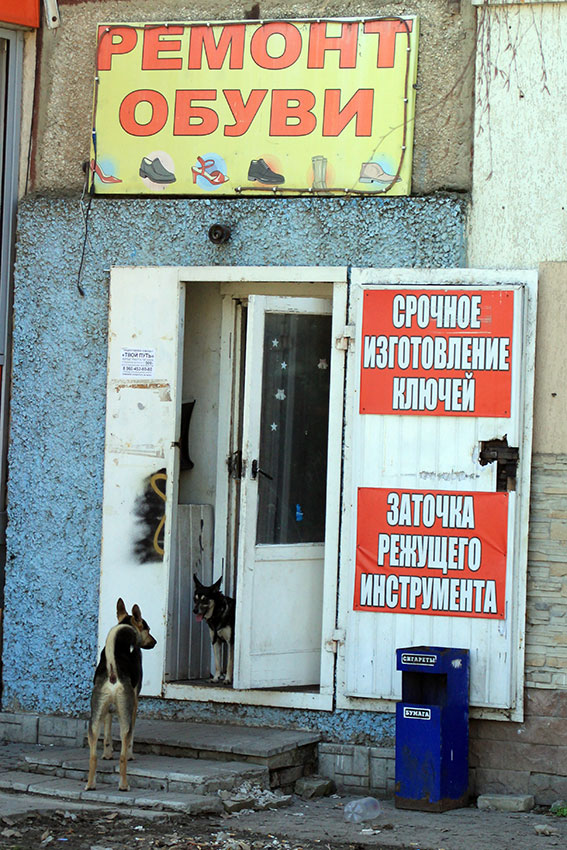 Выходи погулять Выходи погулять