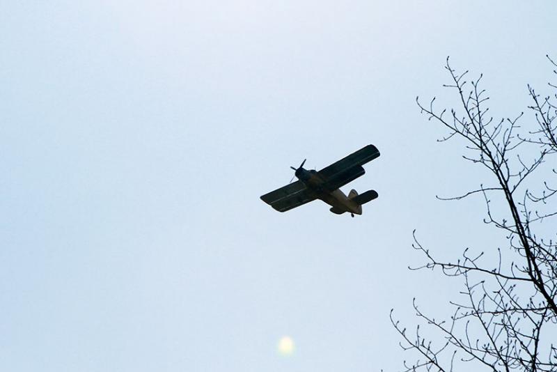 Ан-2