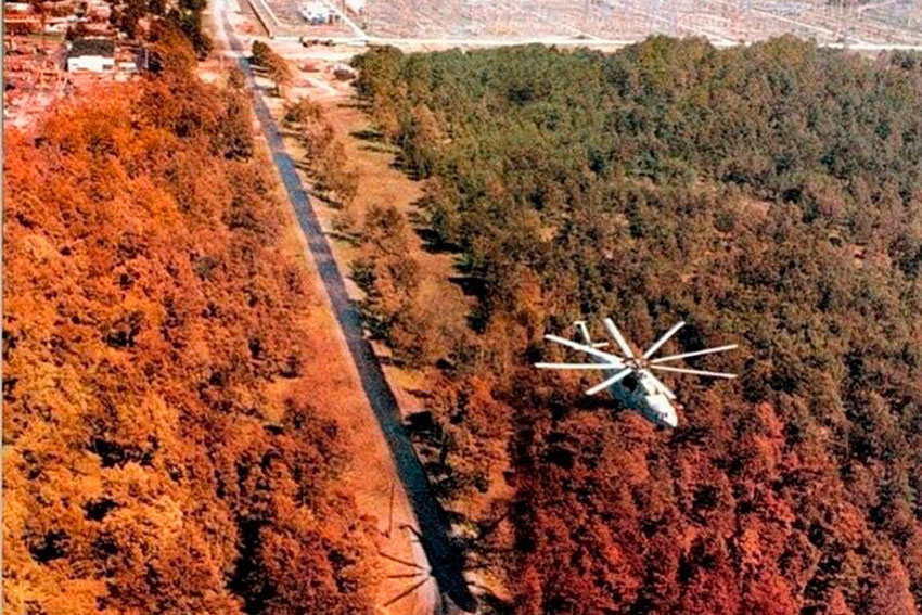 Рыжий лес после аварии. Припять. 1986 год.