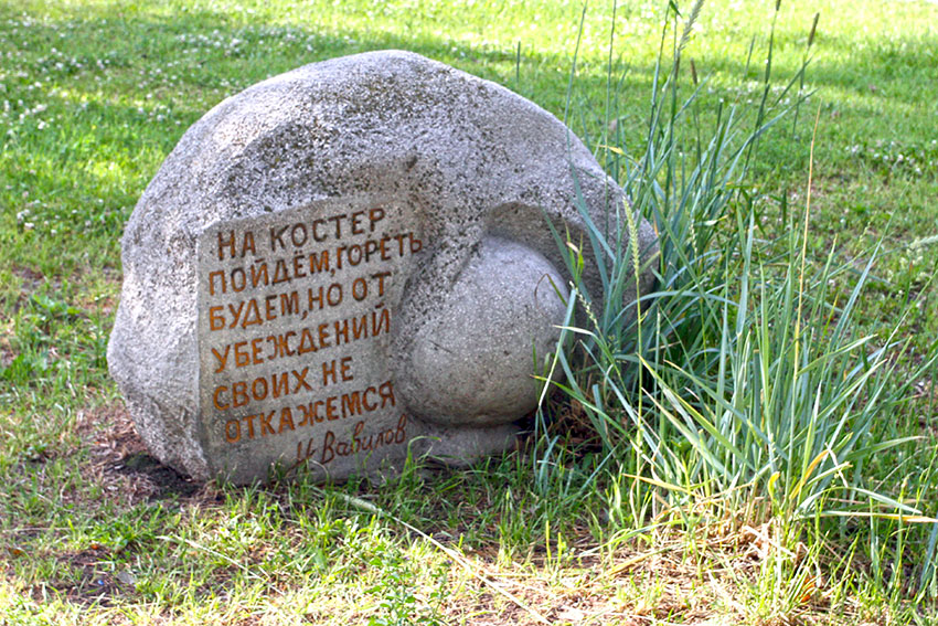 "На костёр пойдём, гореть будем, но от убеждений своих не...