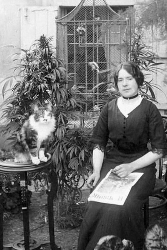 Девушка, котик и интересный кустик- конопля, Париж, 1910-е... Девушка, котик и интересный кустик- конопля, Париж, 1910-е...