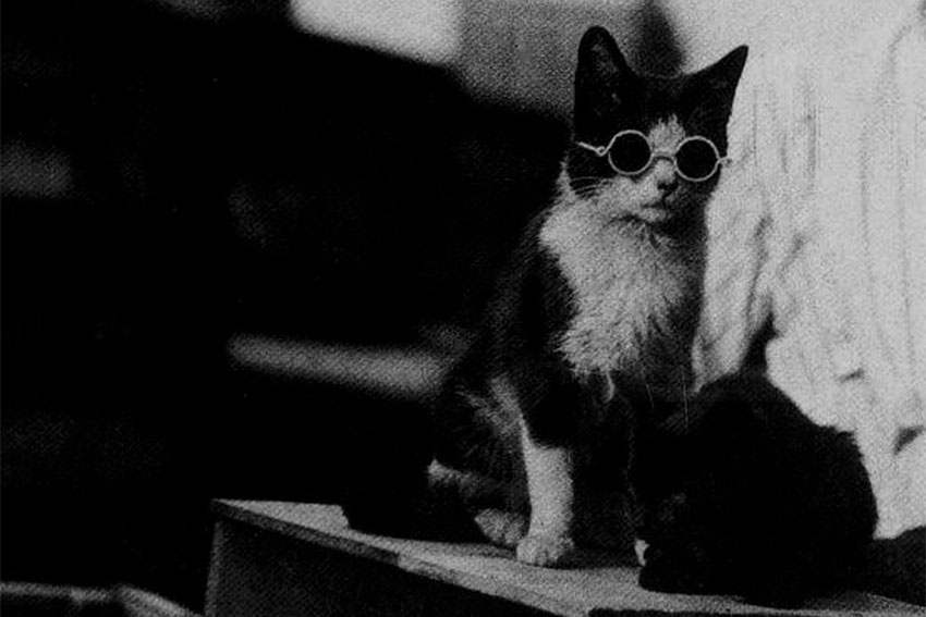 Фотография Уильяма Германа Лоу, 1920 год. Фотография Уильяма Германа Лоу, 1920 год.