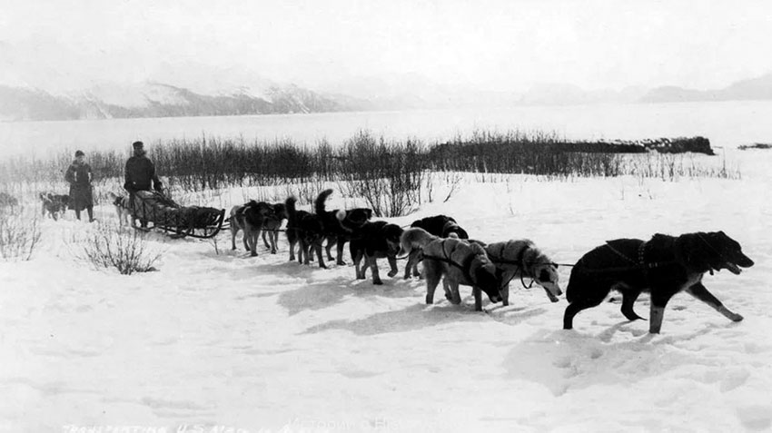 Доставка почты на собаках, Аляска, США, 1910 год.