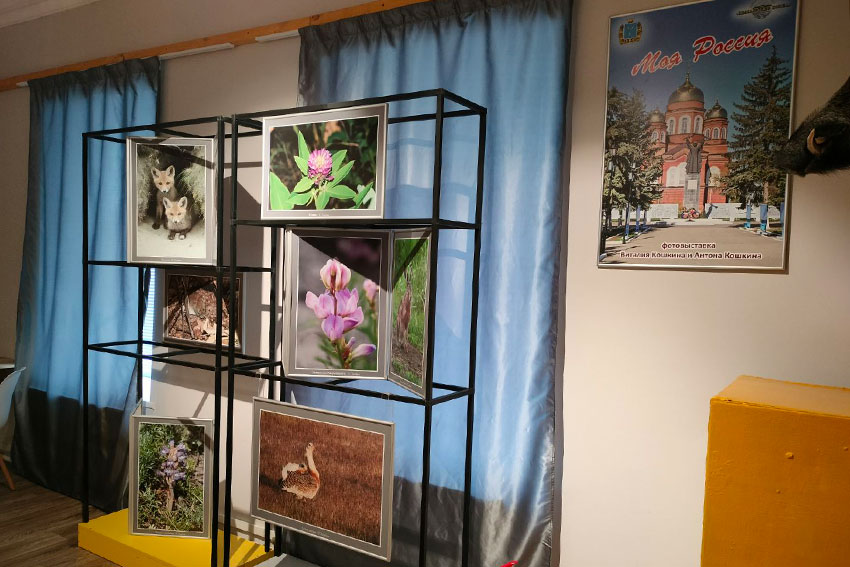 Фотовыставка "Моя Россия" в городе Пугачеве