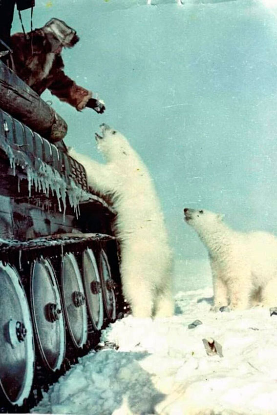 Русский с домашним медвежонком ловит такси) СССР, 1980-е годы. Русский с домашним медвежонком ловит такси) СССР, 1980-е годы.