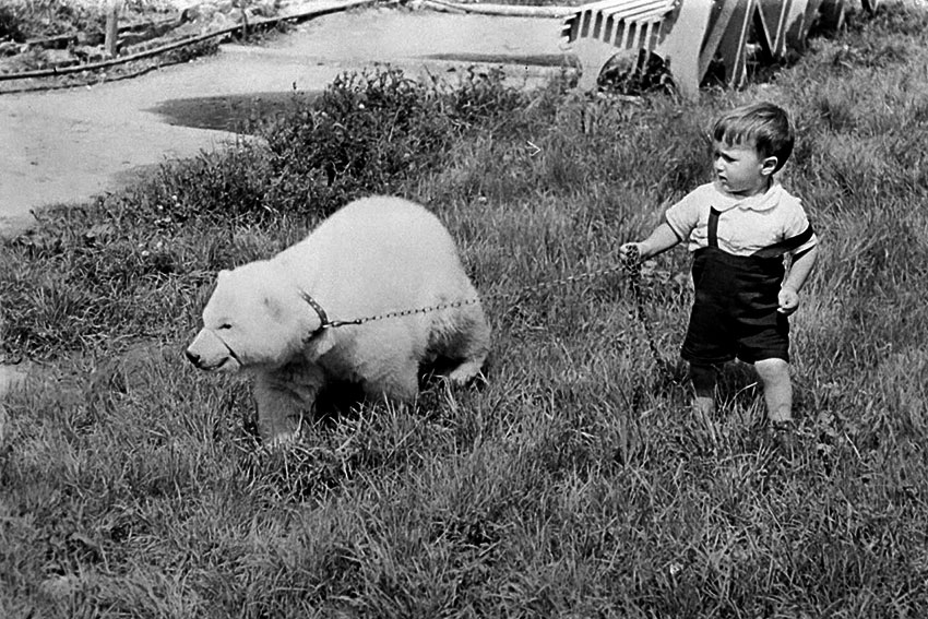 На прогулке, 1960 года. На прогулке, 1960 года.