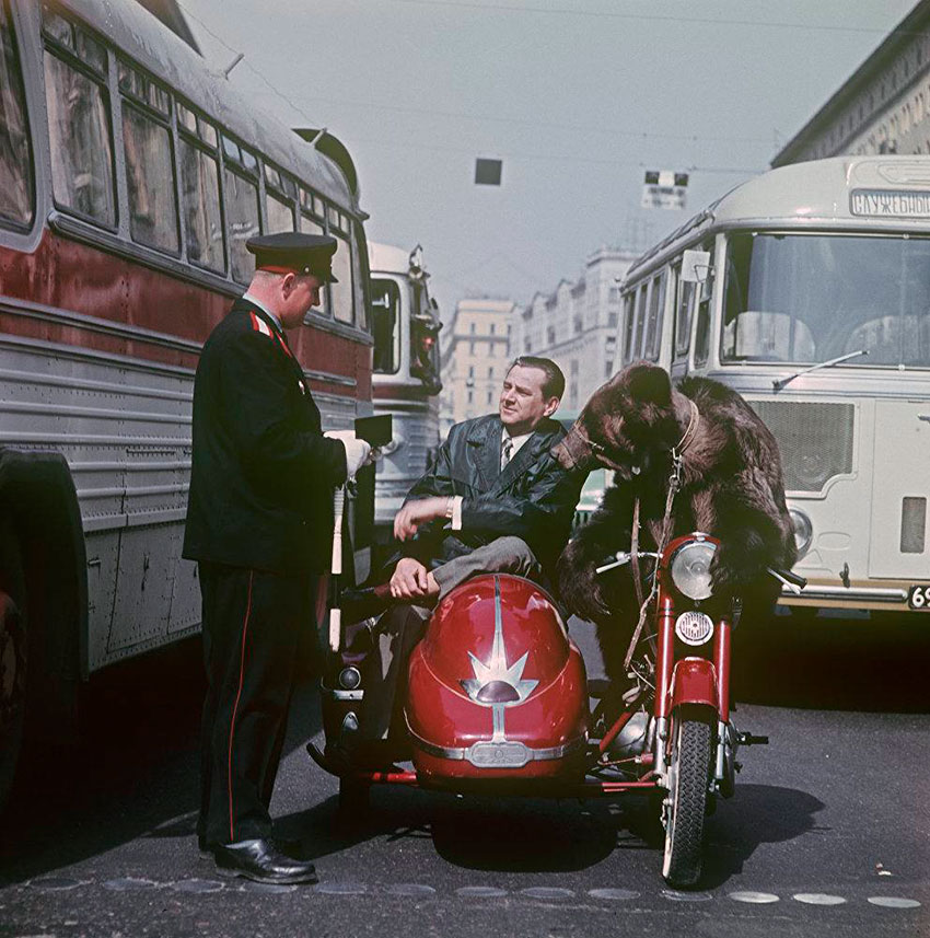 Дрессировщик Валентин Филатов с медведем. Москва 1965 год. Дрессировщик Валентин Филатов с медведем. Москва 1965 год.