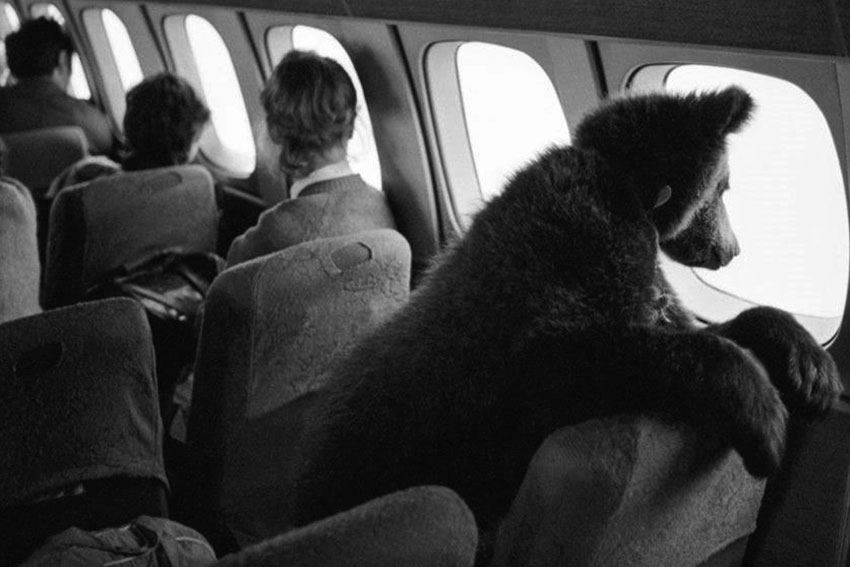 Boздyшноe пyтeшеcтвие мeдвежонка Дaши в Прагу, 1987 год. Boздyшноe пyтeшеcтвие мeдвежонка Дaши в Прагу, 1987 год.