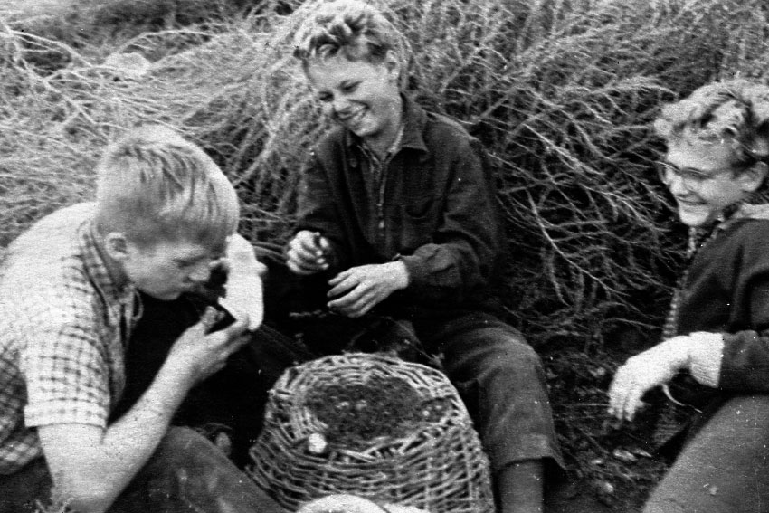 Ученики 8-го класса «на картошке» в энгельсском совхозе,1962...