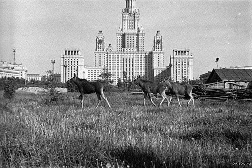 Москва в 1961 год.