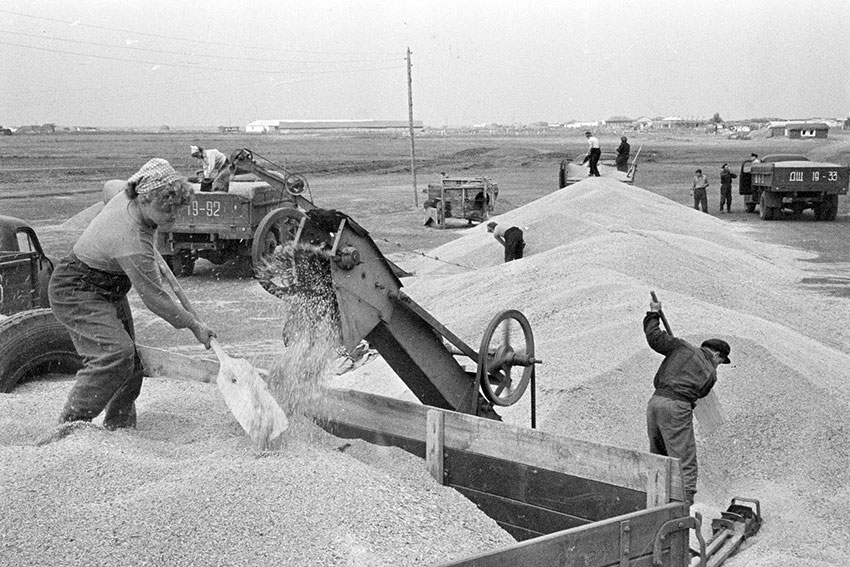 В 1963 году и европейскую, и азиатскую части СССР поразила...