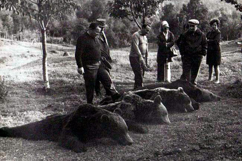 Николае Чаушеску на охоте в Румынии, 1970 год. Николае Чаушеску на охоте в Румынии, 1970 год.