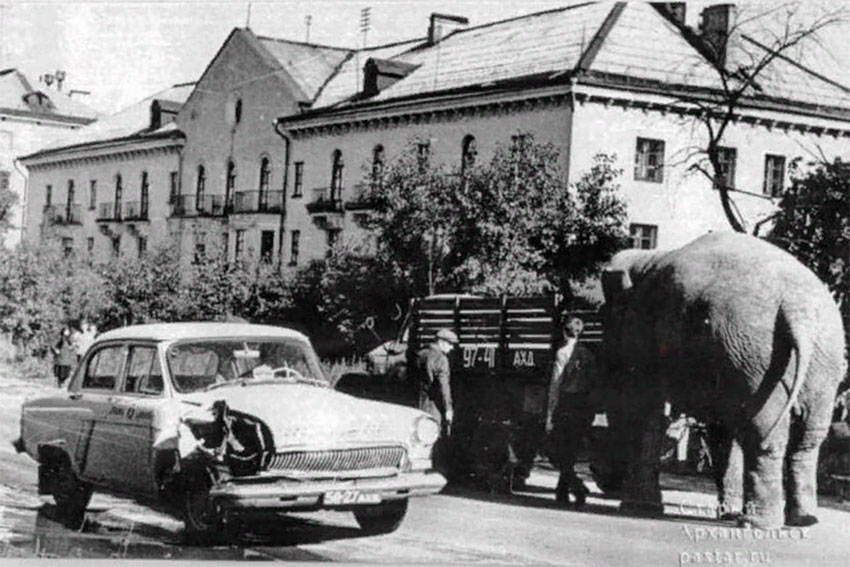 В августе 1971 года в Архангельск приехал с гастролями Бакинский... В августе 1971 года в Архангельск приехал с гастролями Бакинский...