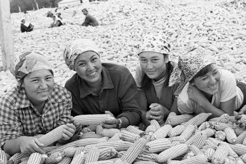 Работницы колхоза 40 лет Октября с урожаем кукурузы, Казахская...