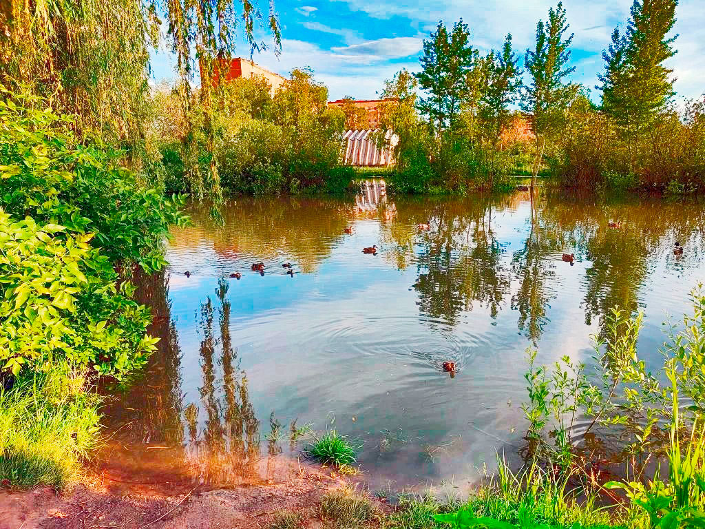Уголок дикой природы в городе Уголок дикой природы в городе