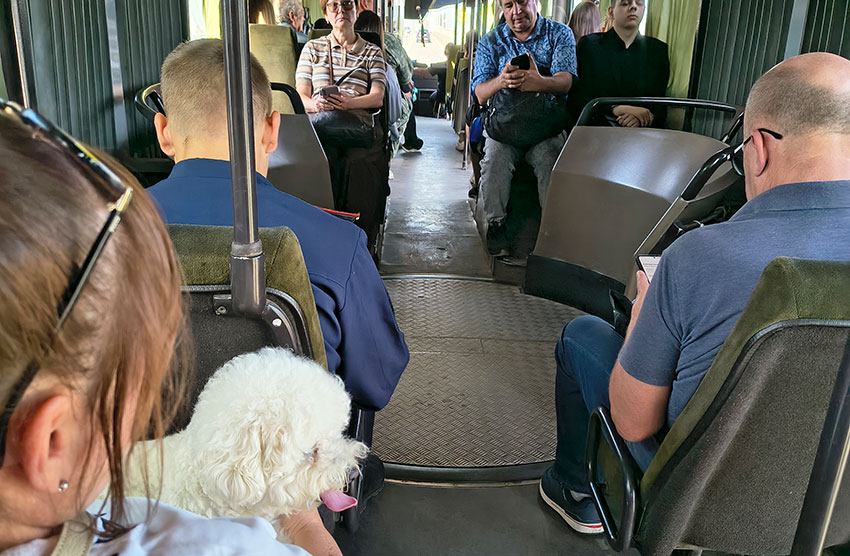 Поездка в автобусе