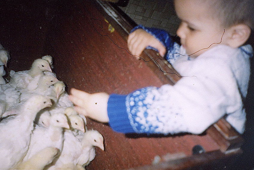РЕБЯТА И ЗВЕРЯТА  35