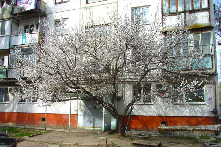 Весна пришла
