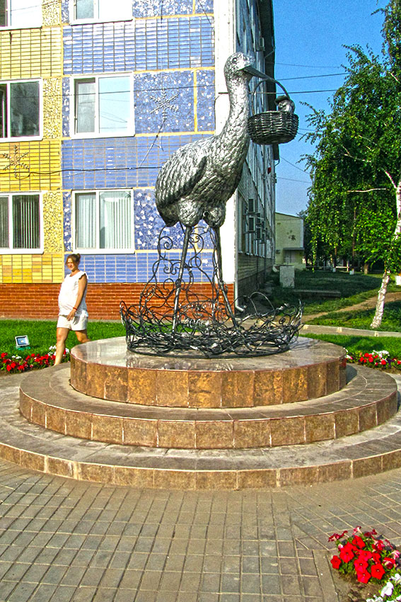 «Прилетел» аист с младенцем