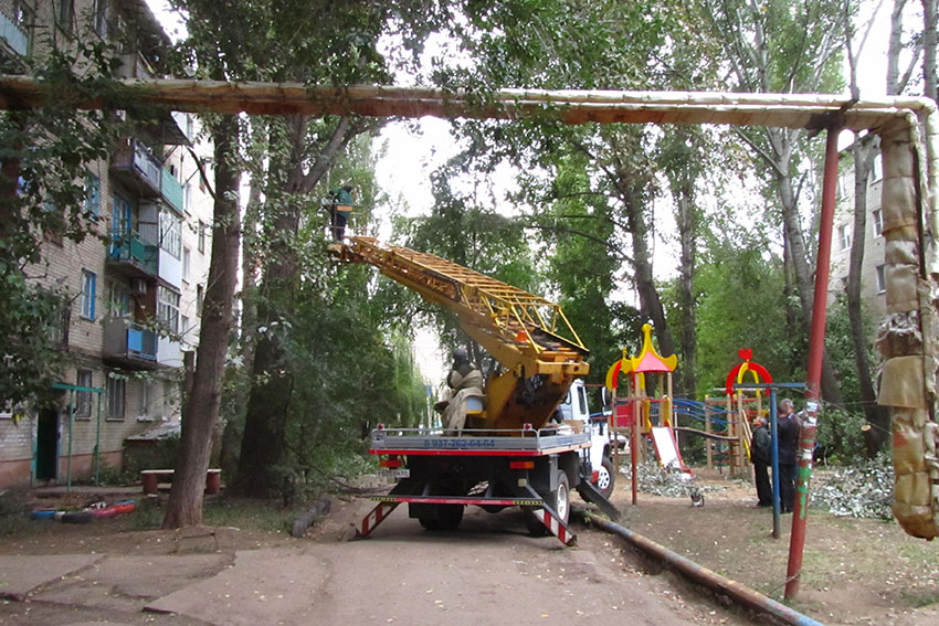 Обрезка деревьев