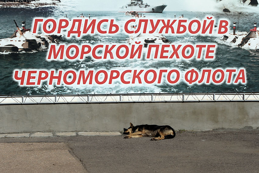 Зоо юмор