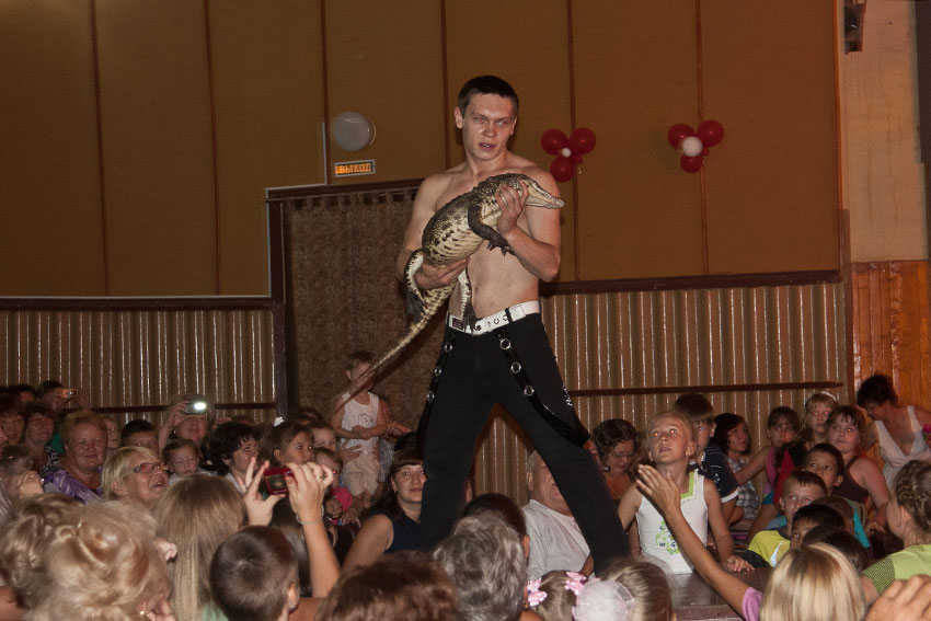 День цирка