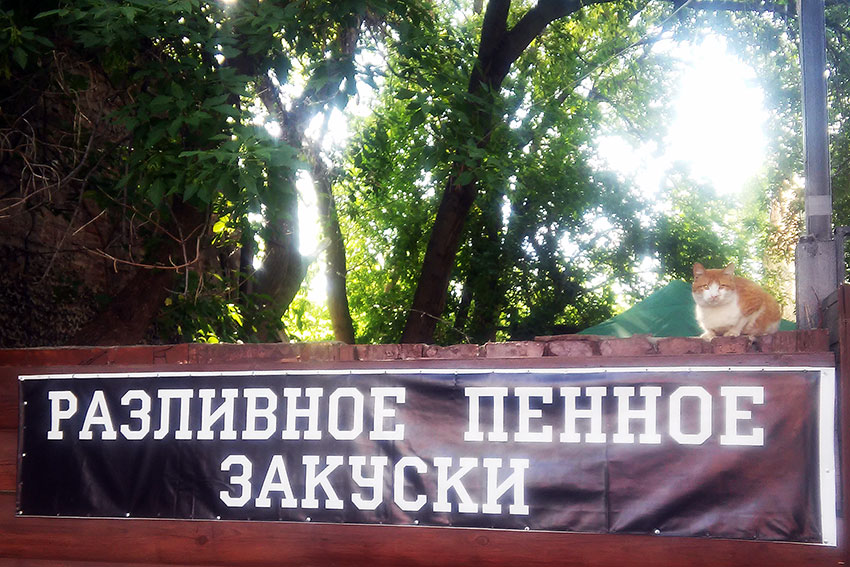  Шутки разных широт 1983 год