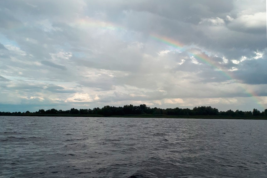 Лето на Волге 2019