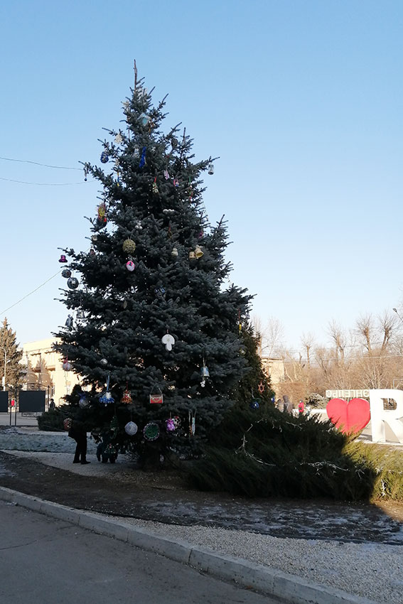 Ель у входа администрации города