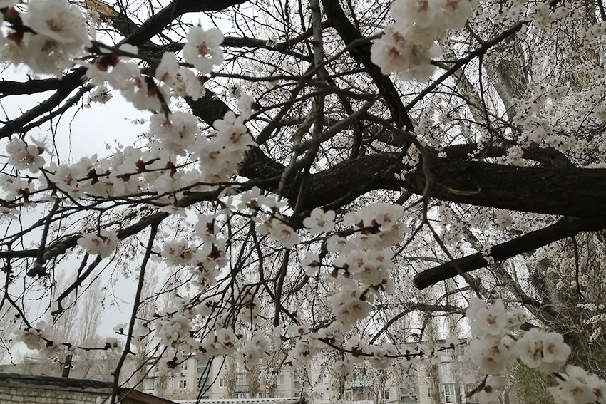 Весенне настроение
