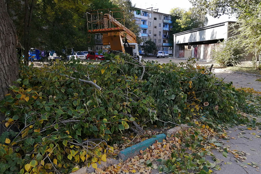 Осень пора пилить