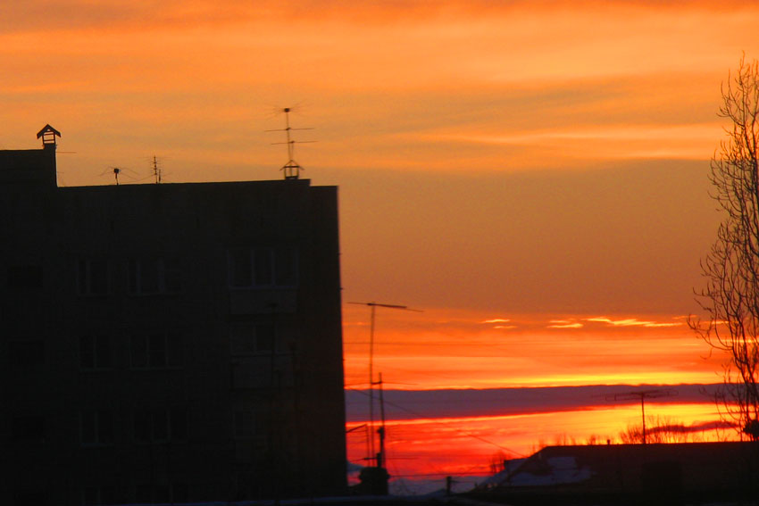 В розовых тонах