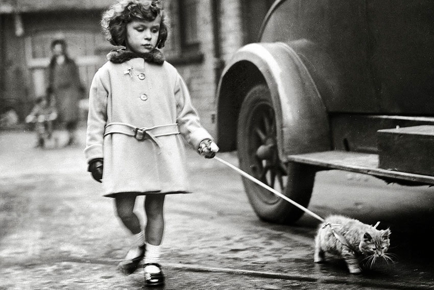 Маленькая девочка, идущая котенком на поводке, 1931 год.