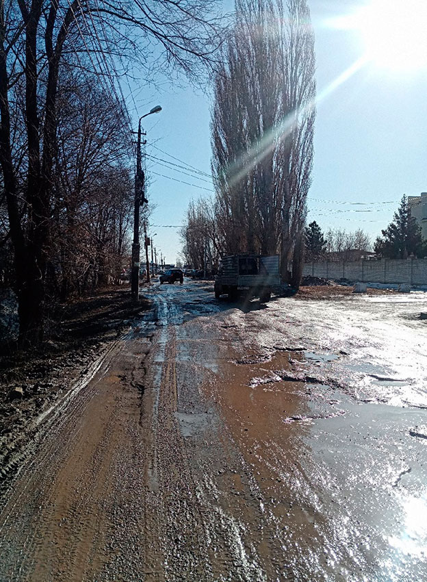 Дорога миграции