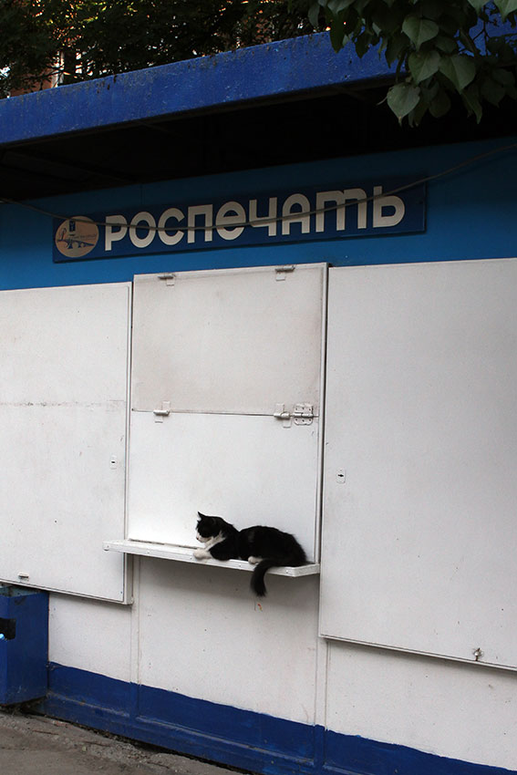 Около