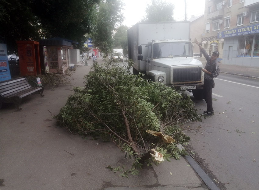 Ветреный катаклизм