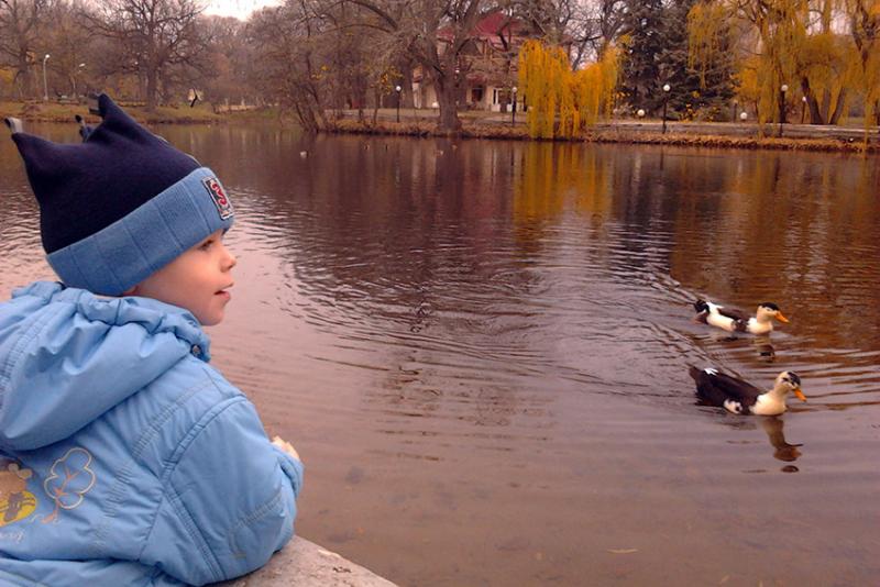 Осенью так хочется на юг!
Автор Валерия Нестерова.
