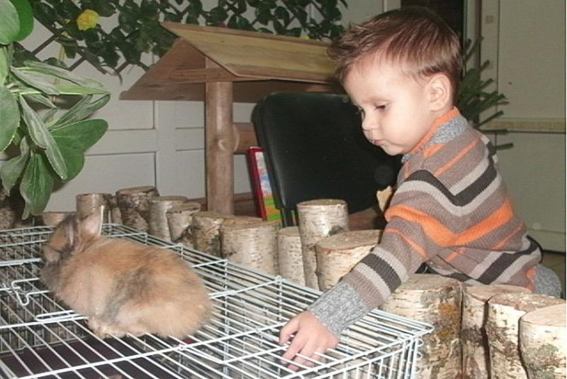 Друзья наши меньшие. Автор Худобина Елена.