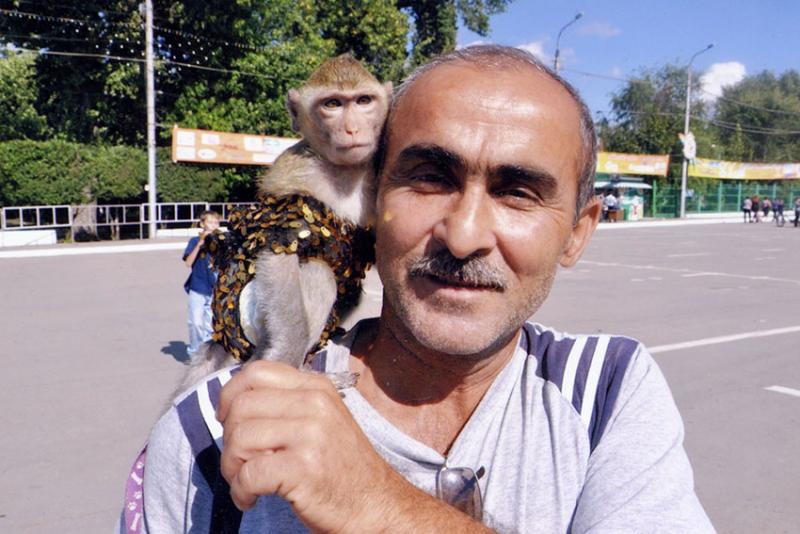 Два друга. Автор Толмачев Николай.