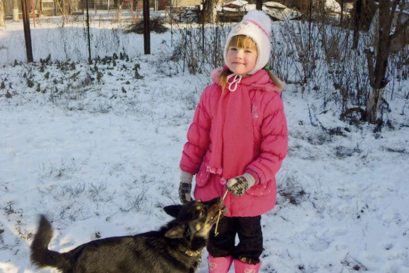 Человек собаке друг. Автор Мещерякова Ирина.