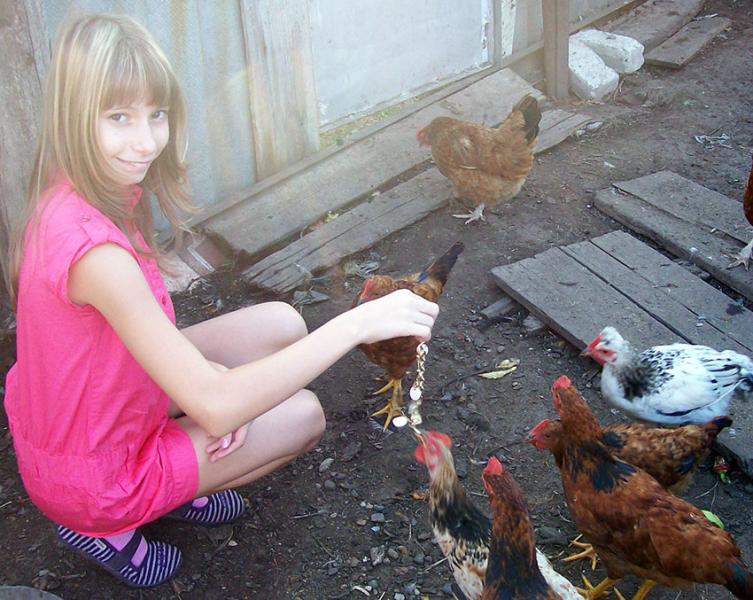 Мы не сороки, но блестящее любим! Автор Алаева Наталья.
