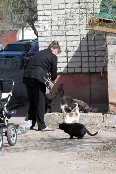 Отдам котят, мокрых. Передумал.
