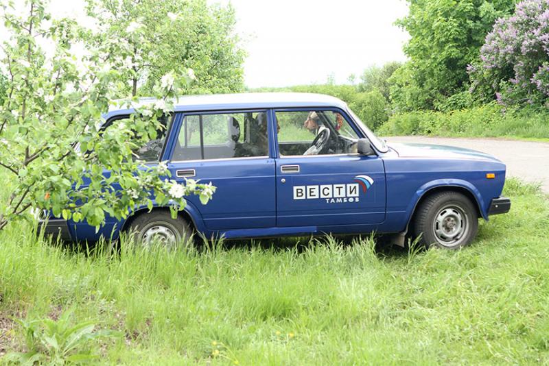Вести Тамбова в кустах.