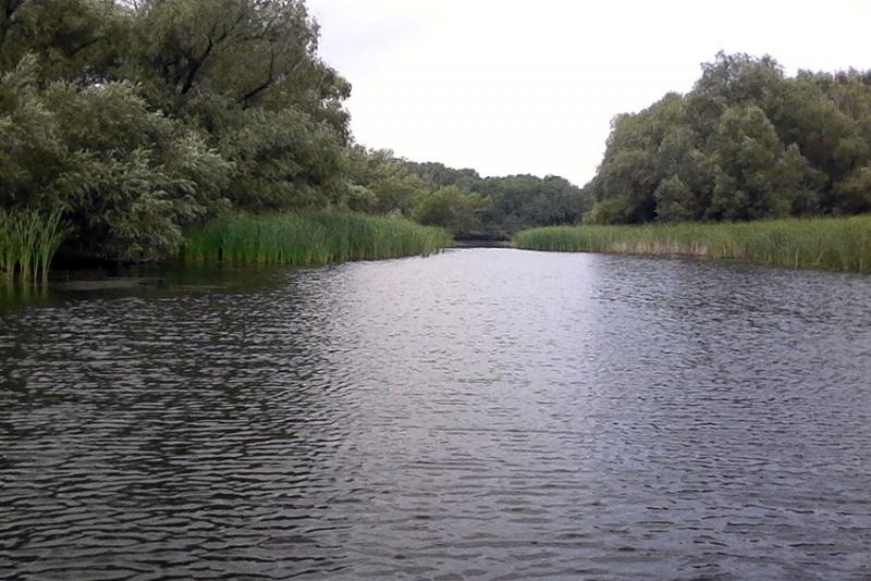 В тебе начало всей Руси. Фото Р. Большакова.