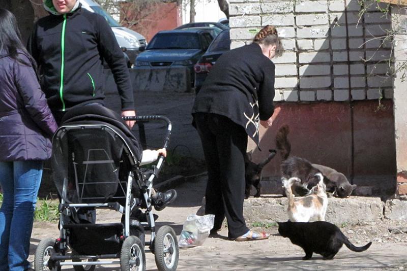 Кормёжка.
