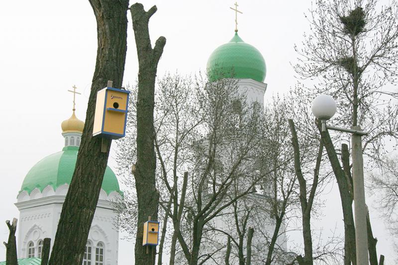 Около Троицкого храма.
