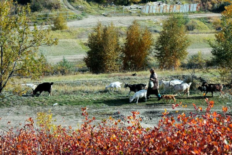 Пьяница дважды садился не в свой автобус, на третий раз...