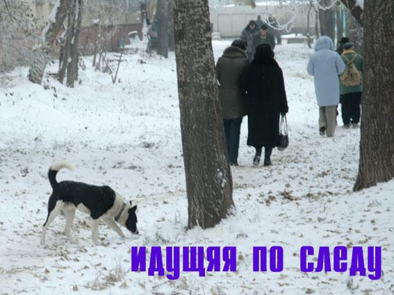 В баре один посетитель подходит к другому.
—	Вы меня не...