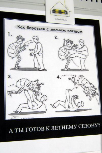 Йоргенссон первый раз оказался в зоопарке. Подойдя к служителю,...