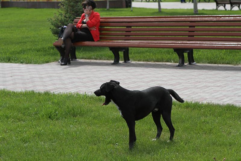"Высокий уровень обращаемости зарегистрирован в  Базарнокарабулакском,...
